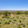 Why Dripping Springs, TX is a Hot Spot for Investment Properties