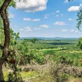 The Impact of Climate and Weather on Rental Demand in Dripping Springs, TX